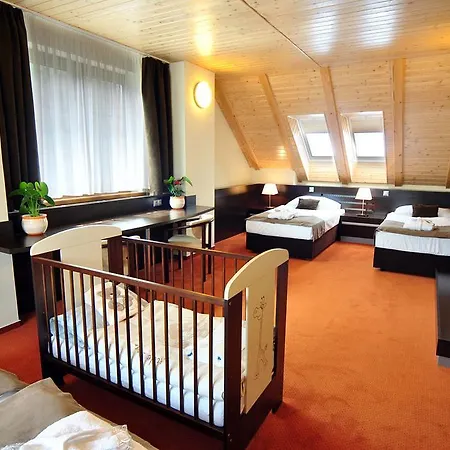 酒店 Wellness Pod Kycmolem 4*