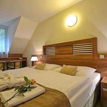 Wellness Pod Kycmolem Hotel 4*