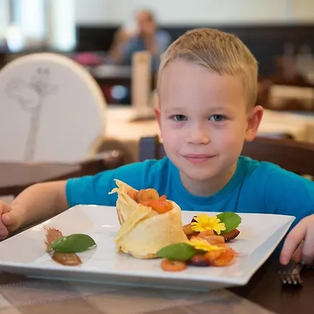 Hotel Wellness Pod Kycmolem Horní Lomná