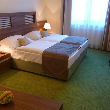 Hotel Wellness Pod Kycmolem