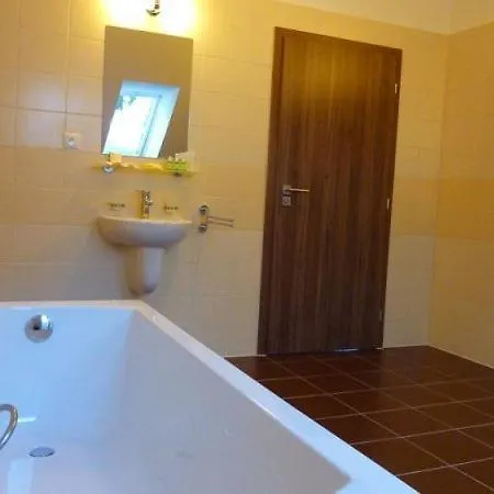 Hotel Wellness Pod Kycmolem 4*