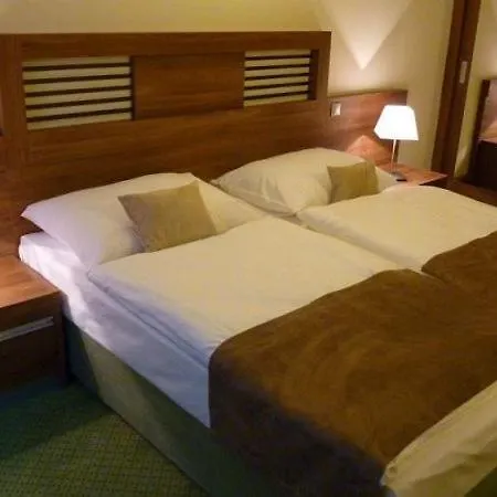 Wellness Pod Kycmolem Hotel Horni Lomna