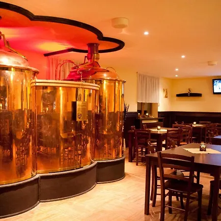 Hotel Wellness Pod Kycmolem 4*