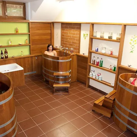 Отель Wellness Pod Kycmolem 4*