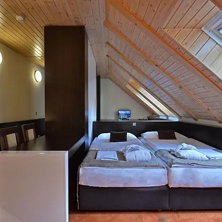 Hotel Wellness Pod Kycmolem 4*